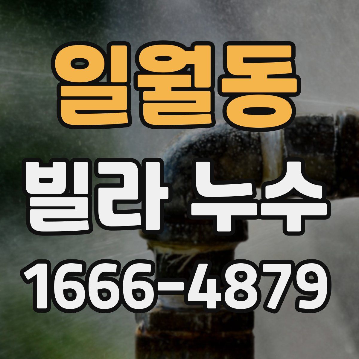 일월동 빌라 누수