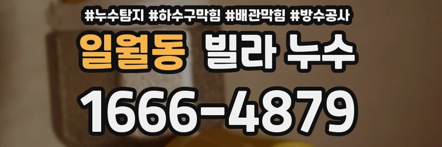 일월동 빌라 누수