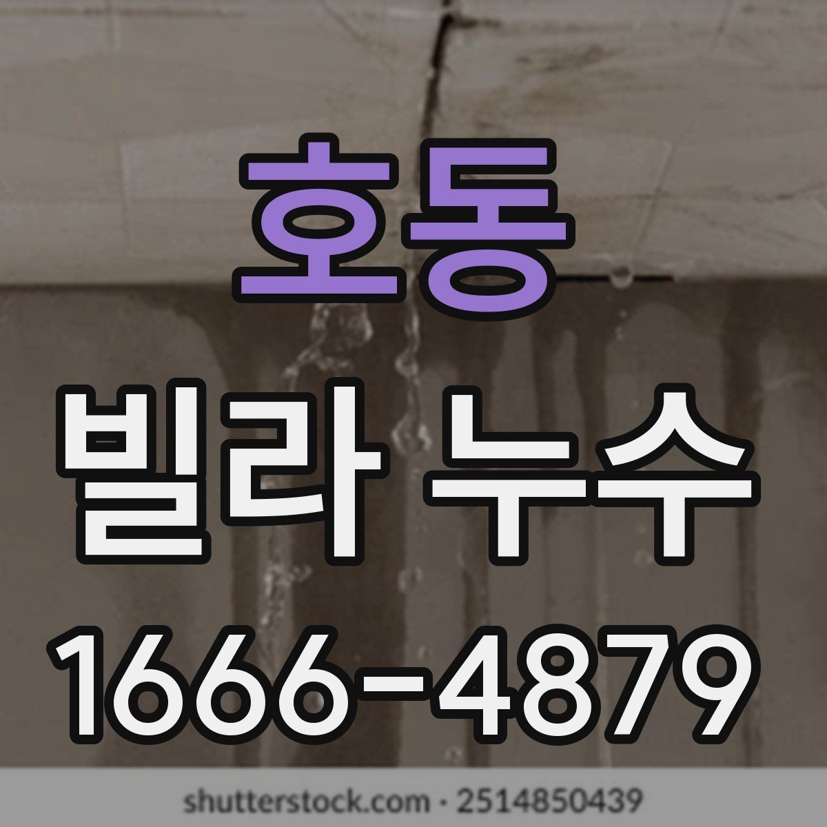 호동 빌라 누수