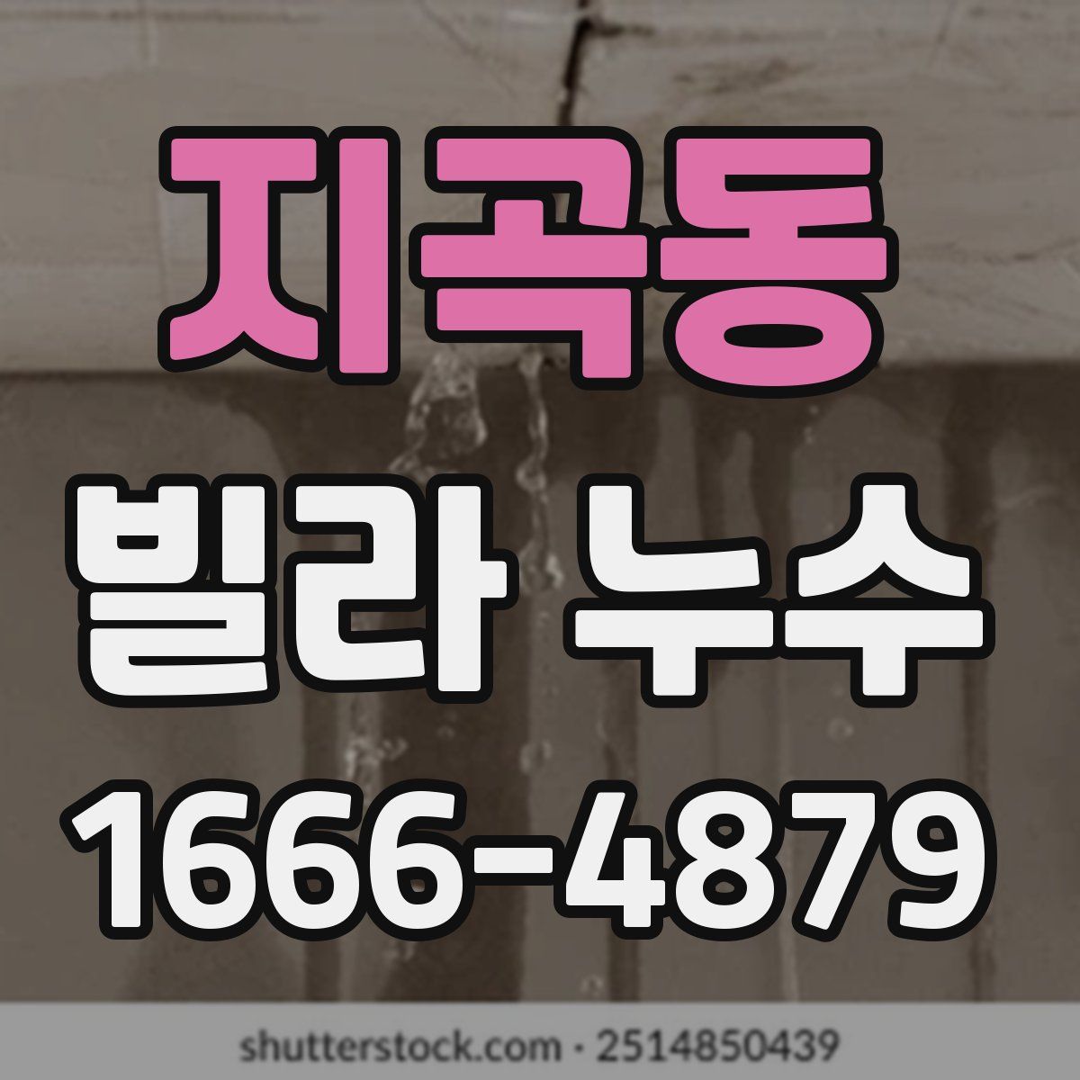 지곡동 빌라 누수