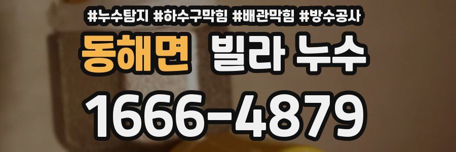 동해면 빌라 누수