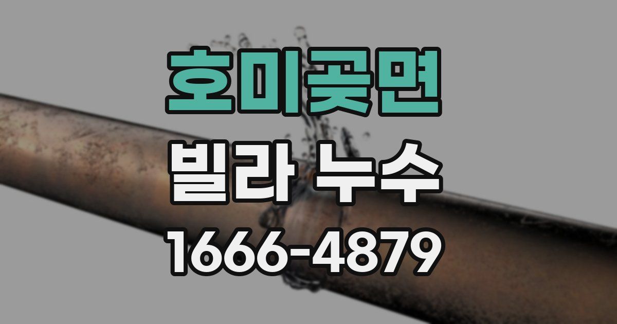 호미곶면 빌라 누수