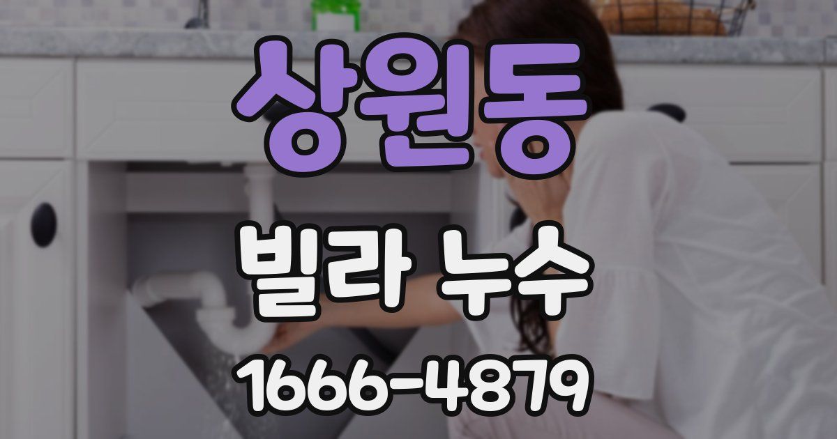 상원동 빌라 누수