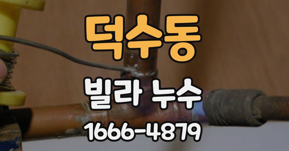덕수동 빌라 누수