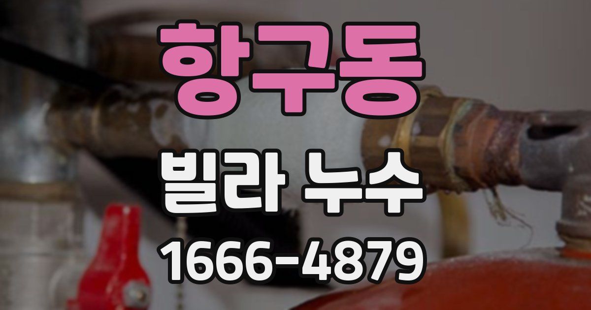 항구동 빌라 누수
