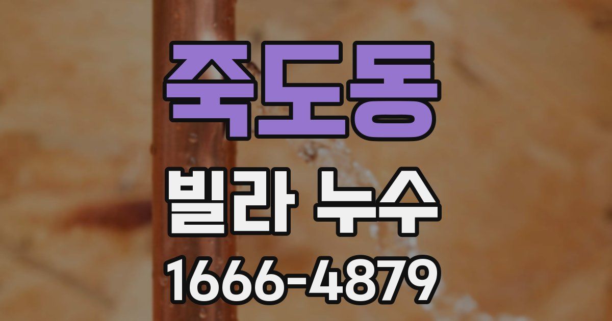 죽도동 빌라 누수