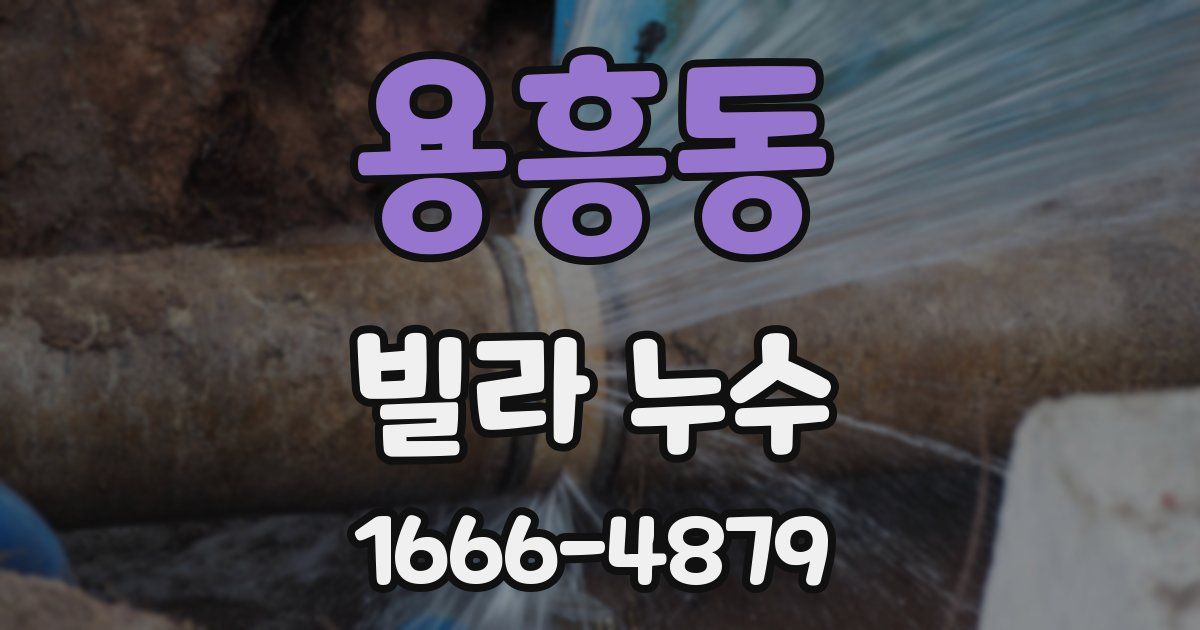 용흥동 빌라 누수
