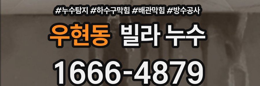 우현동 빌라 누수