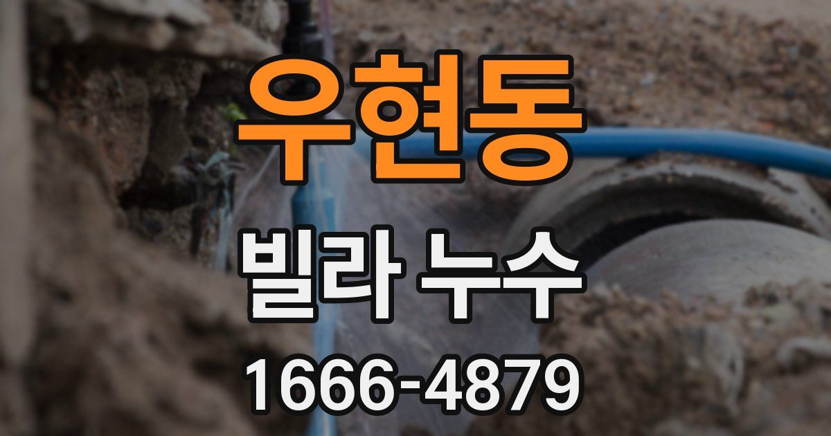 우현동 빌라 누수