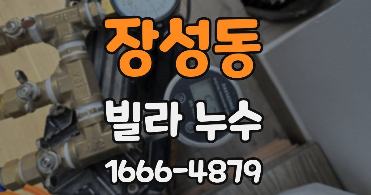 장성동 빌라 누수