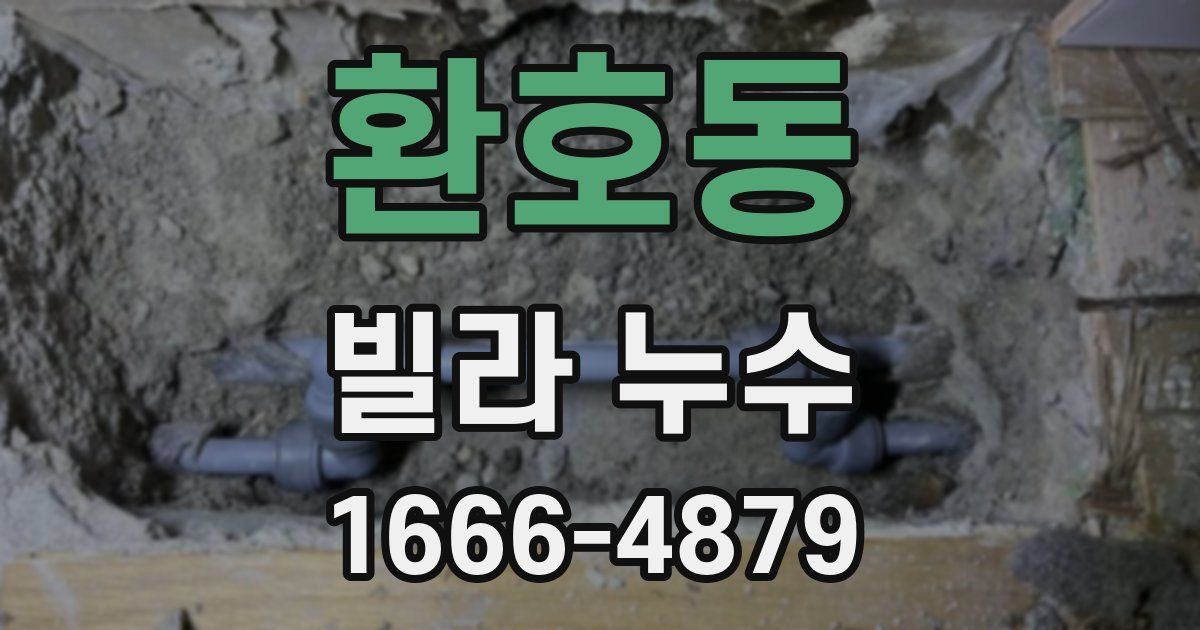 환호동 빌라 누수
