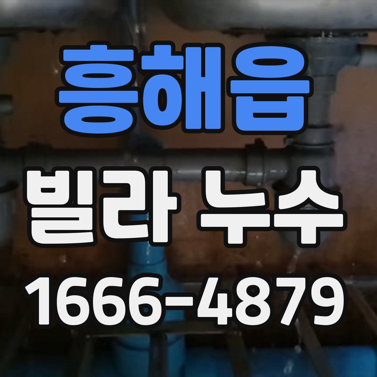 흥해읍 빌라 누수