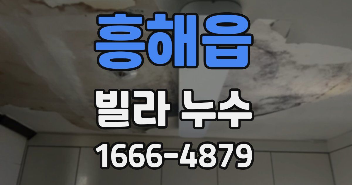 흥해읍 빌라 누수