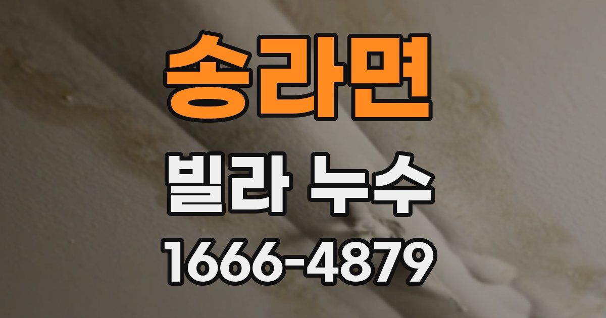 송라면 빌라 누수
