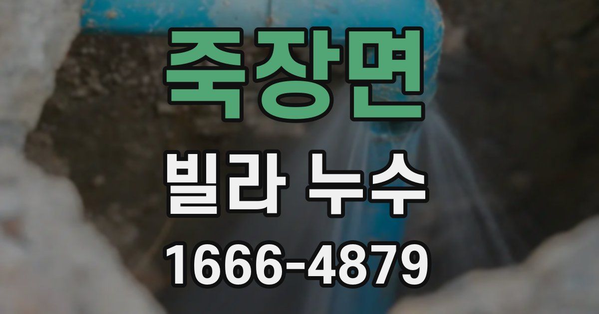 죽장면 빌라 누수