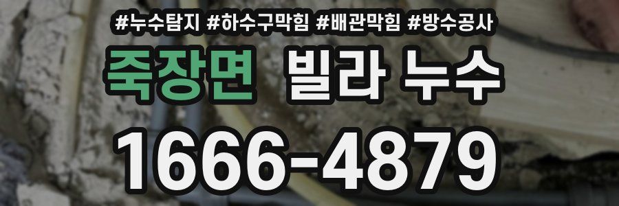 죽장면 빌라 누수