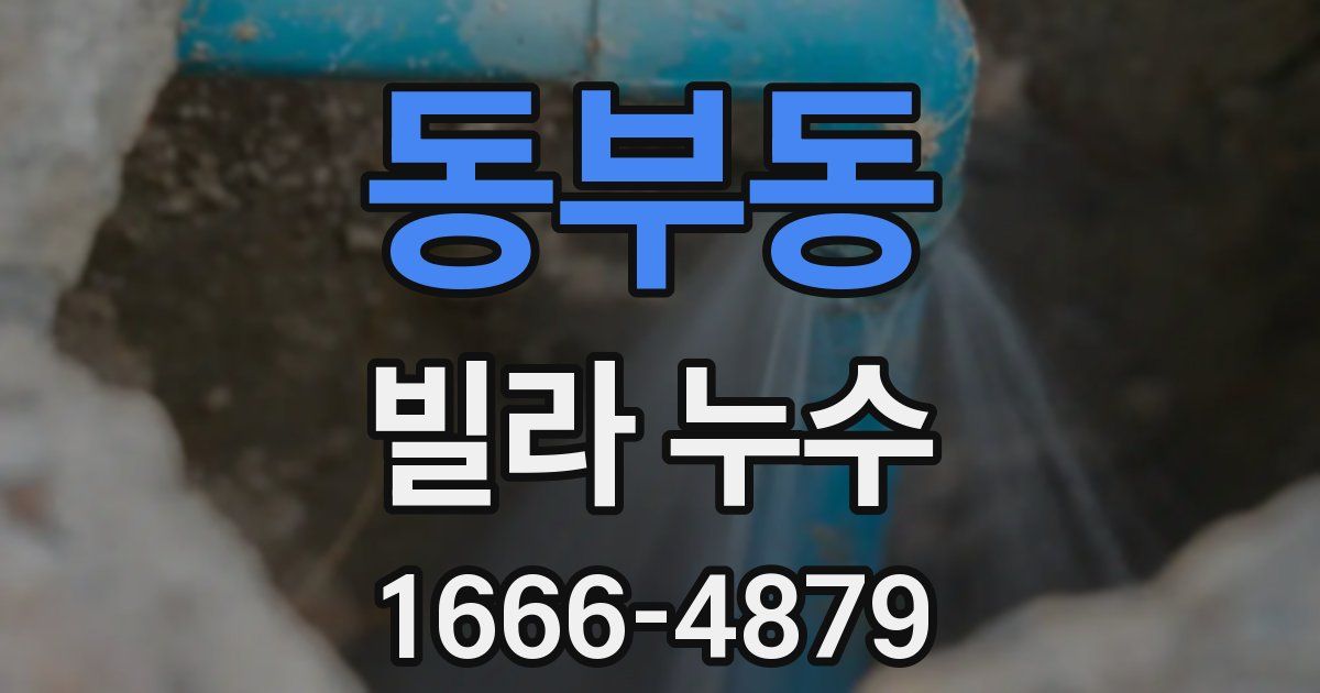 동부동 빌라 누수