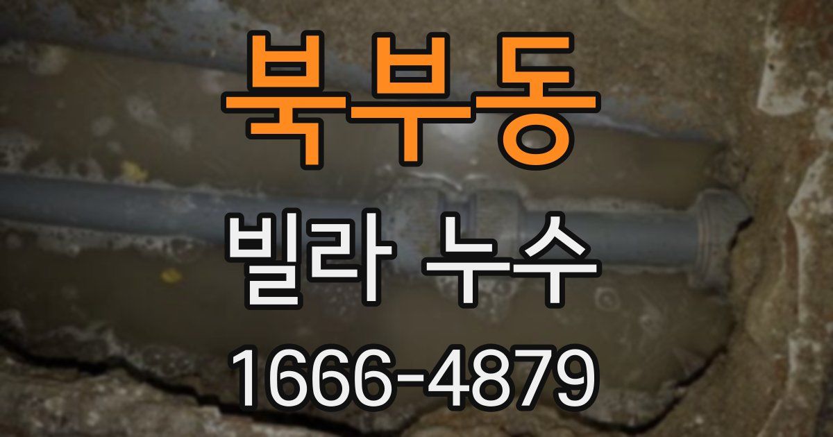 북부동 빌라 누수