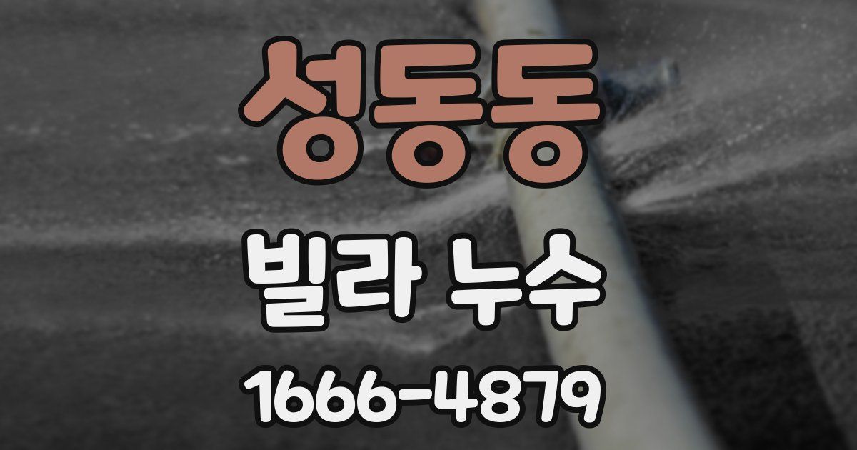성동동 빌라 누수