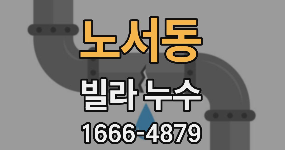 노서동 빌라 누수