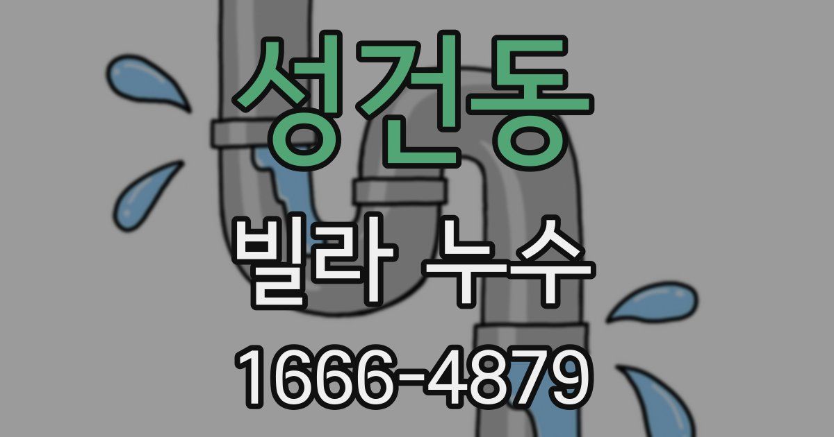 성건동 빌라 누수
