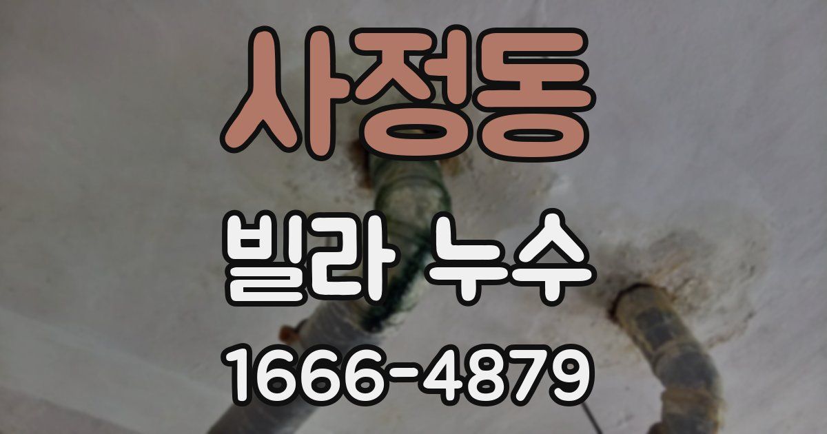 사정동 빌라 누수