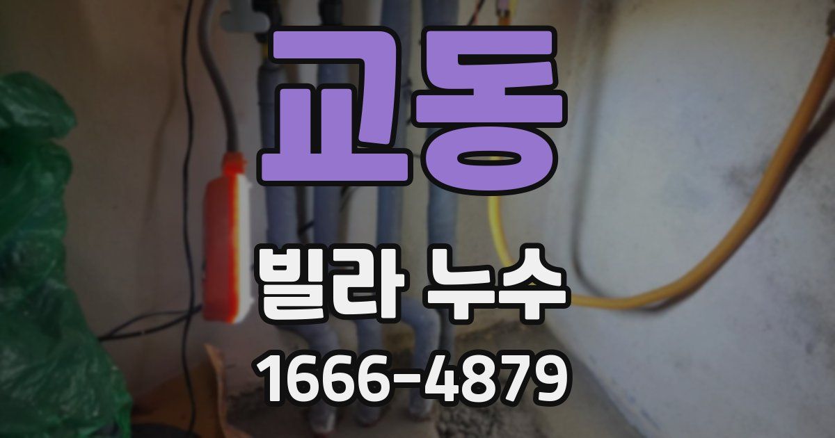 교동 빌라 누수