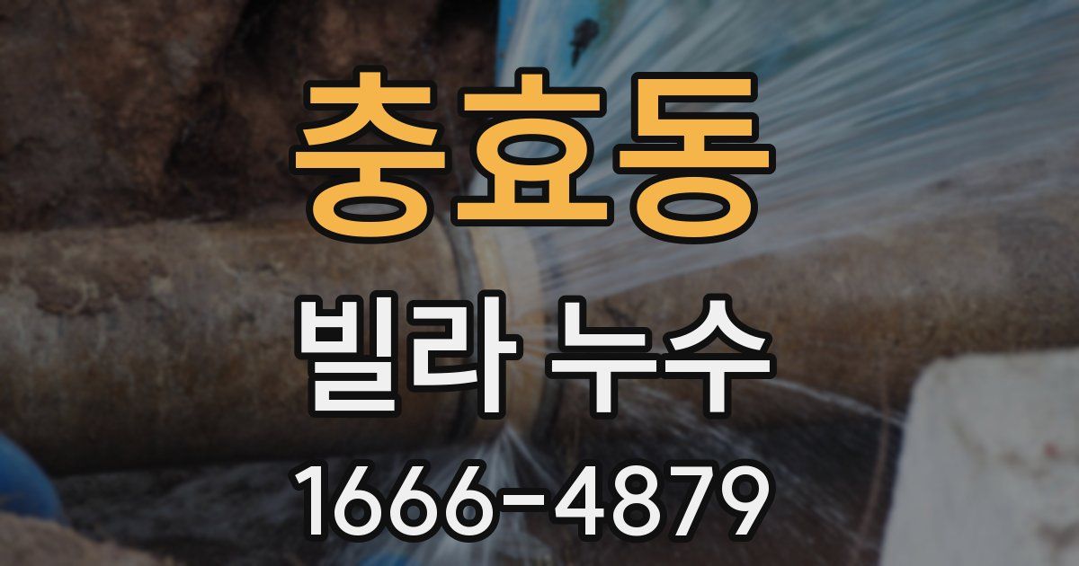 충효동 빌라 누수