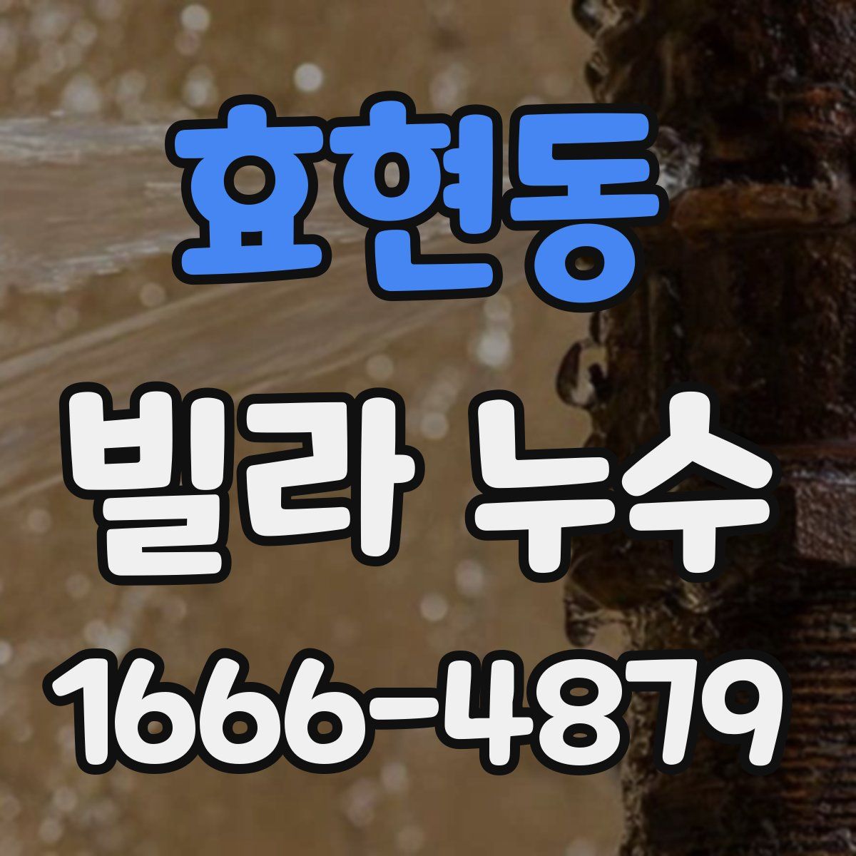 효현동 빌라 누수