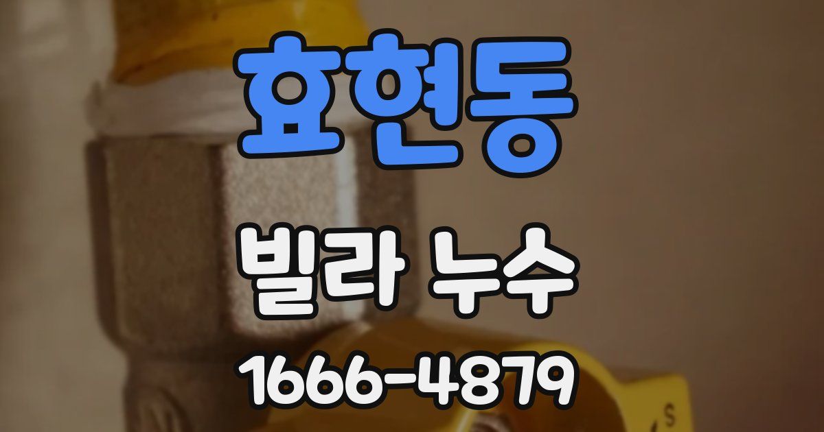 효현동 빌라 누수