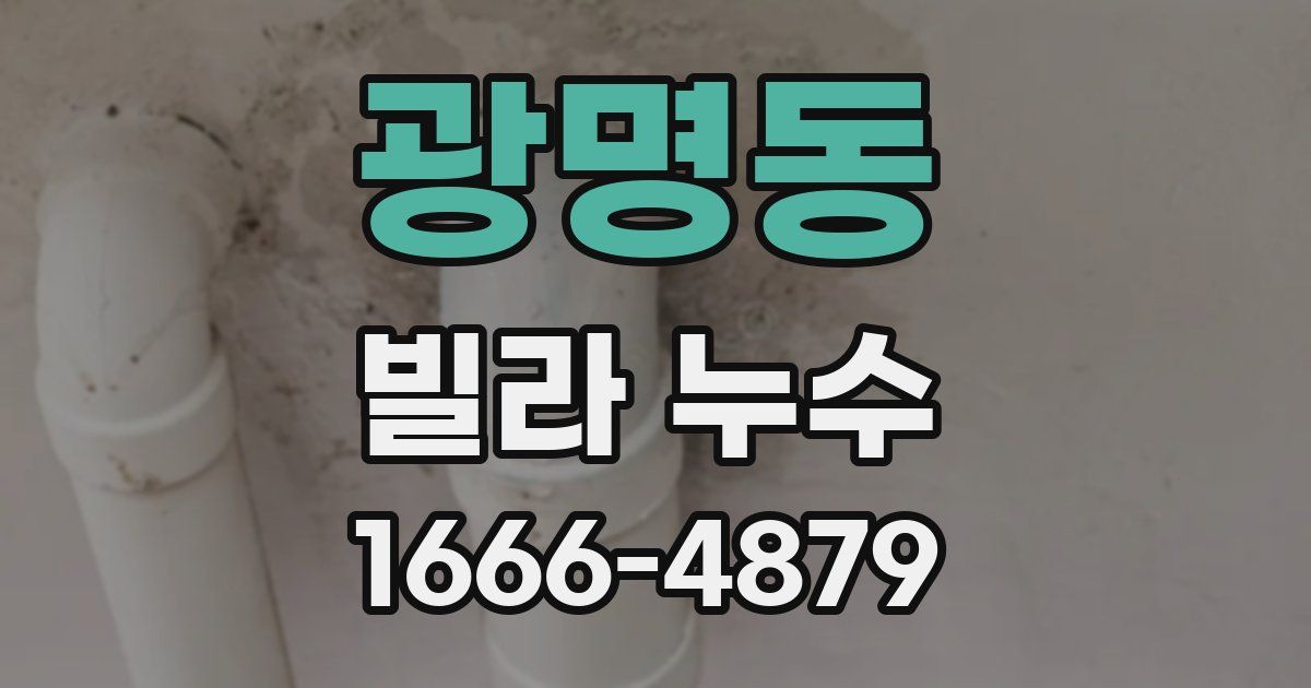 광명동 빌라 누수