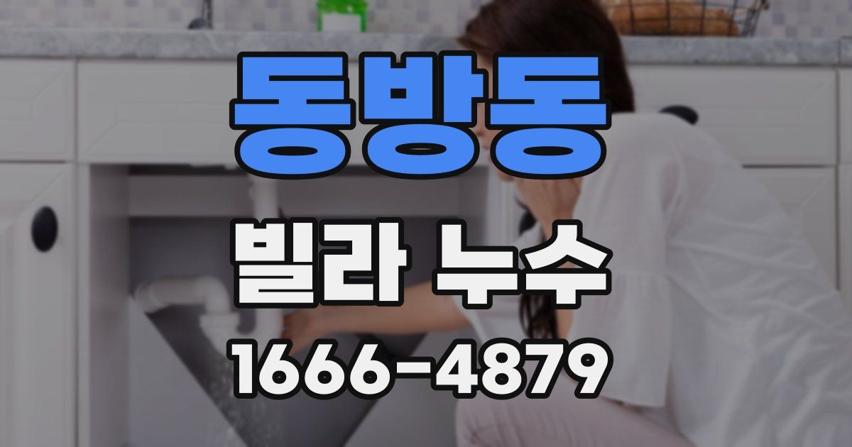 동방동 빌라 누수