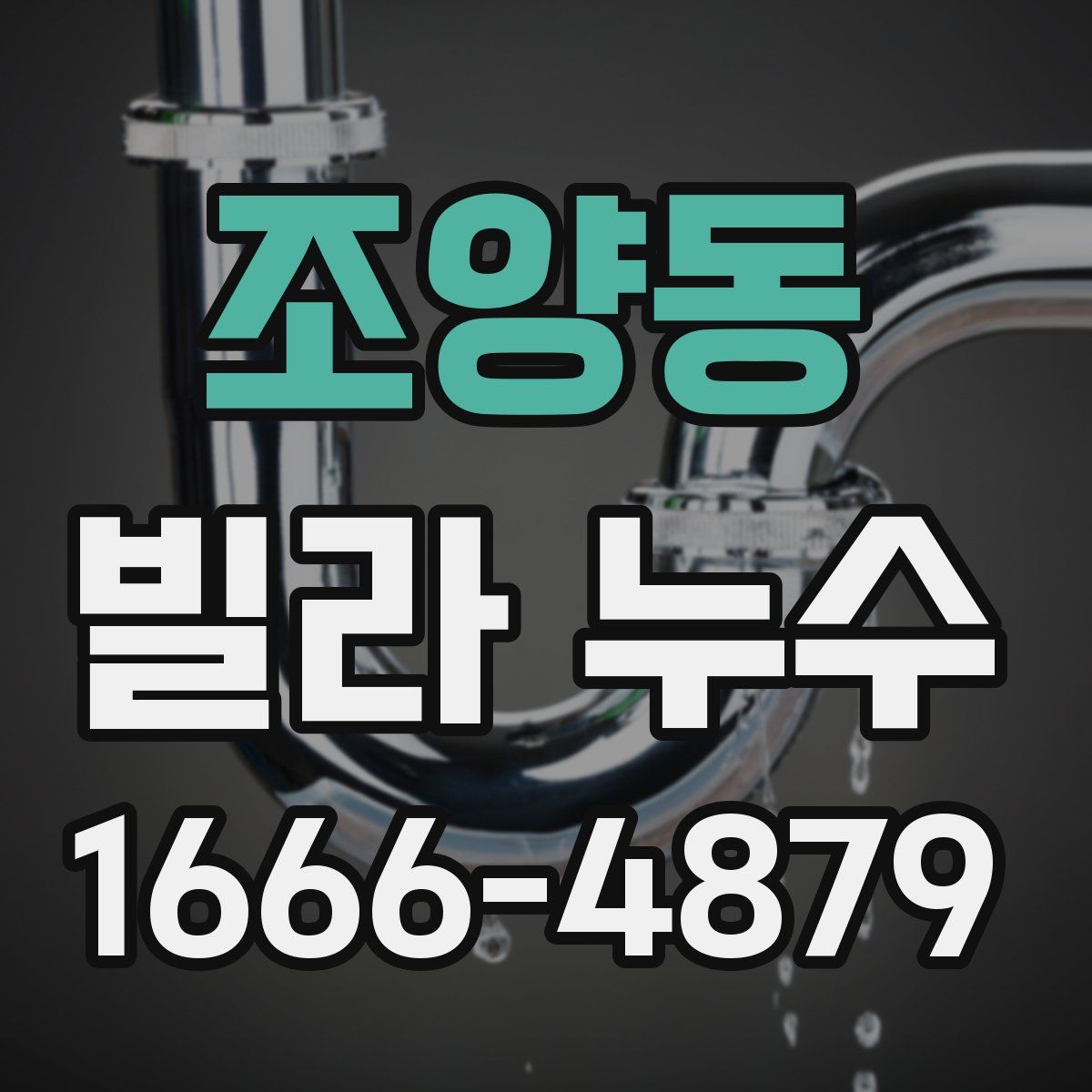 조양동 빌라 누수