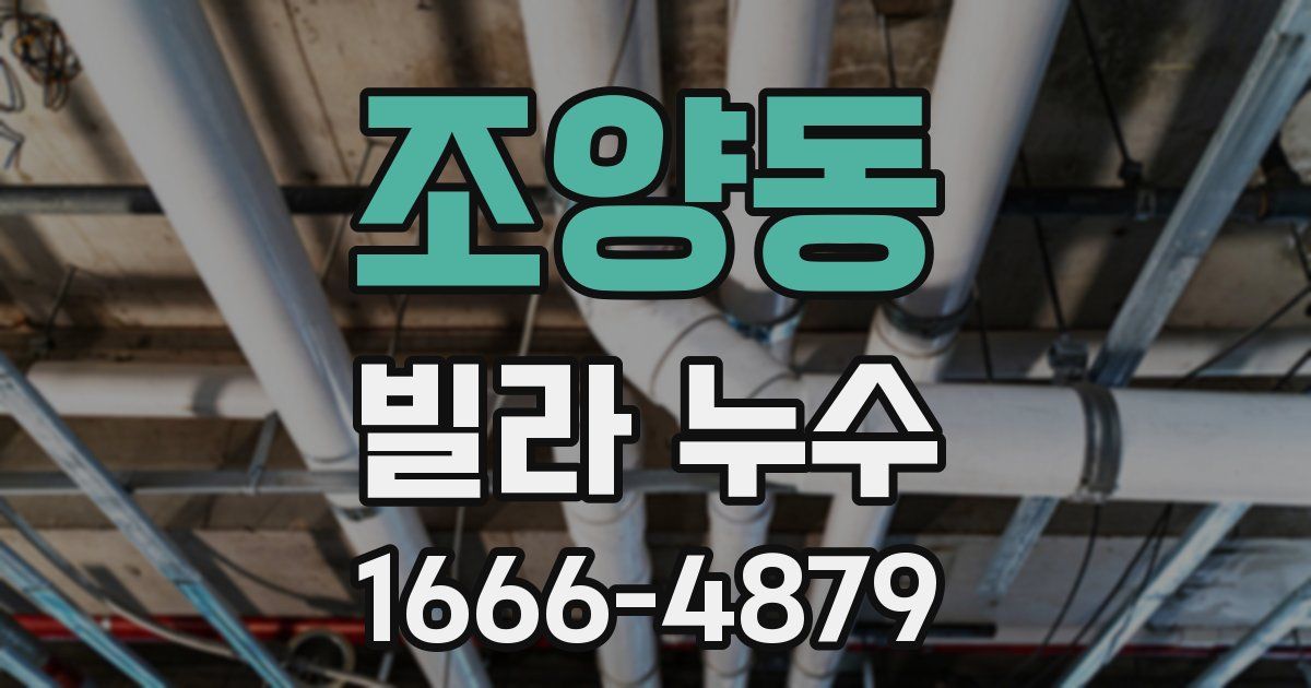 조양동 빌라 누수