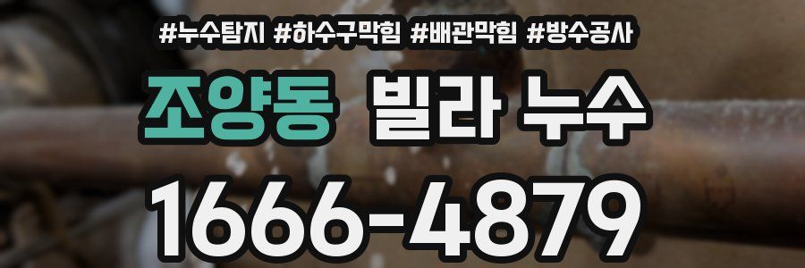 조양동 빌라 누수