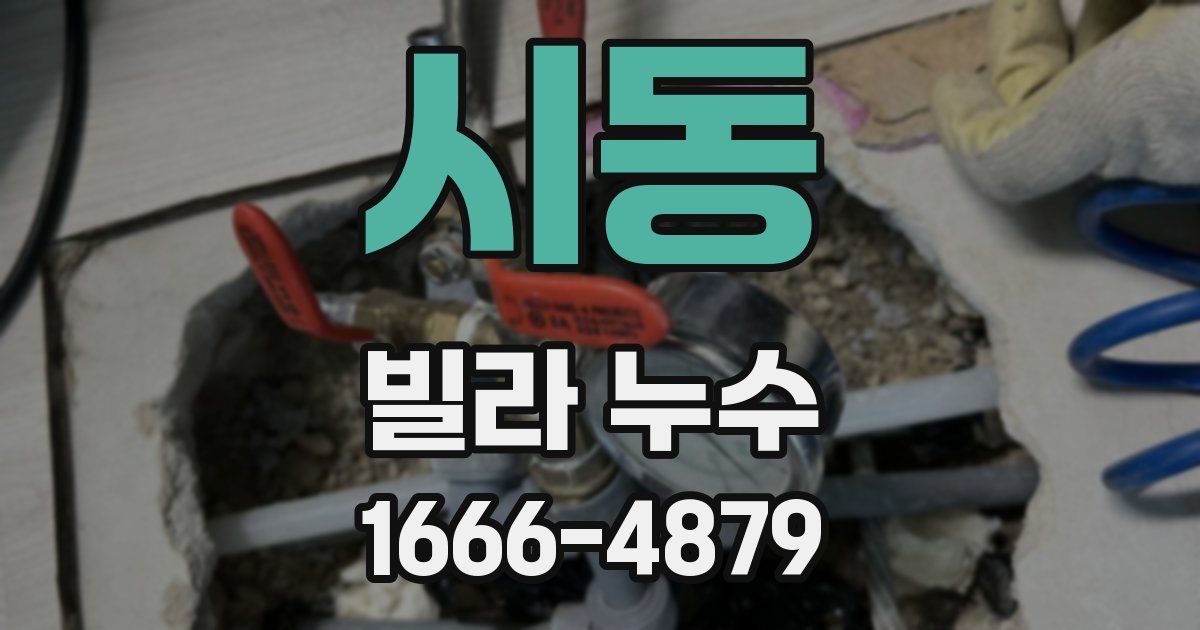 시동 빌라 누수