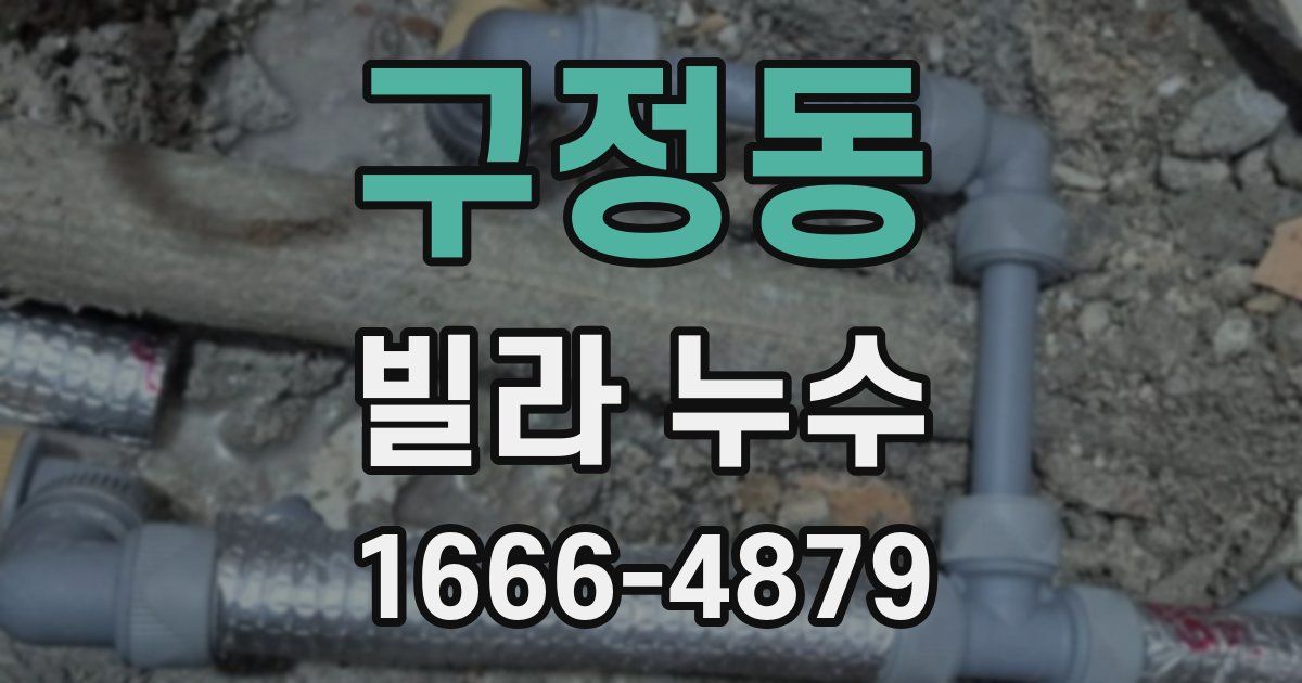 구정동 빌라 누수