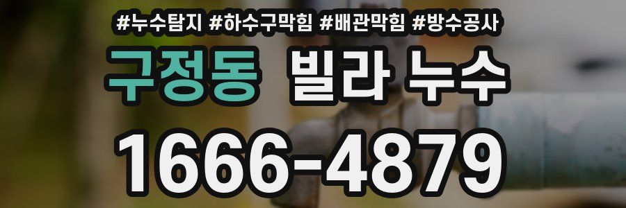 구정동 빌라 누수