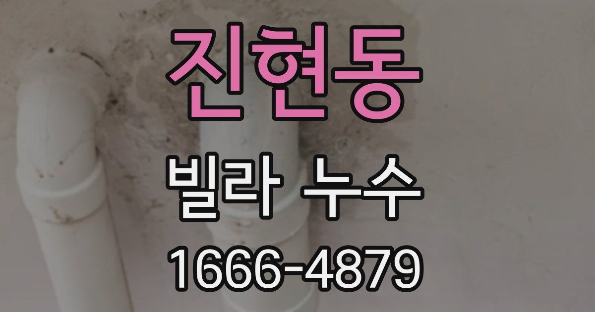 진현동 빌라 누수