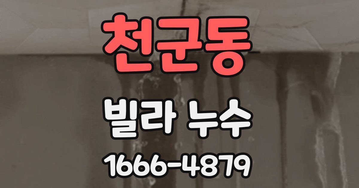 천군동 빌라 누수