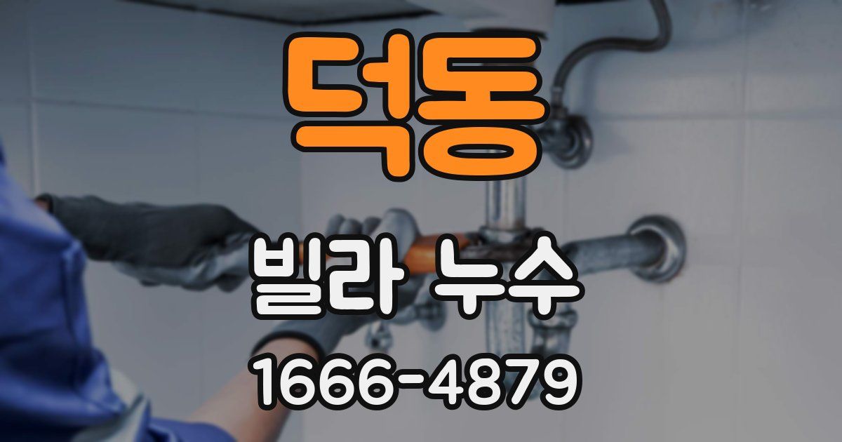 덕동 빌라 누수