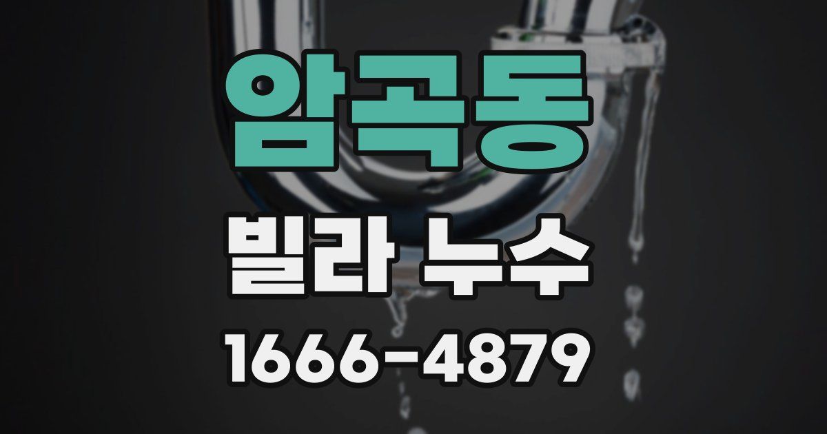 암곡동 빌라 누수