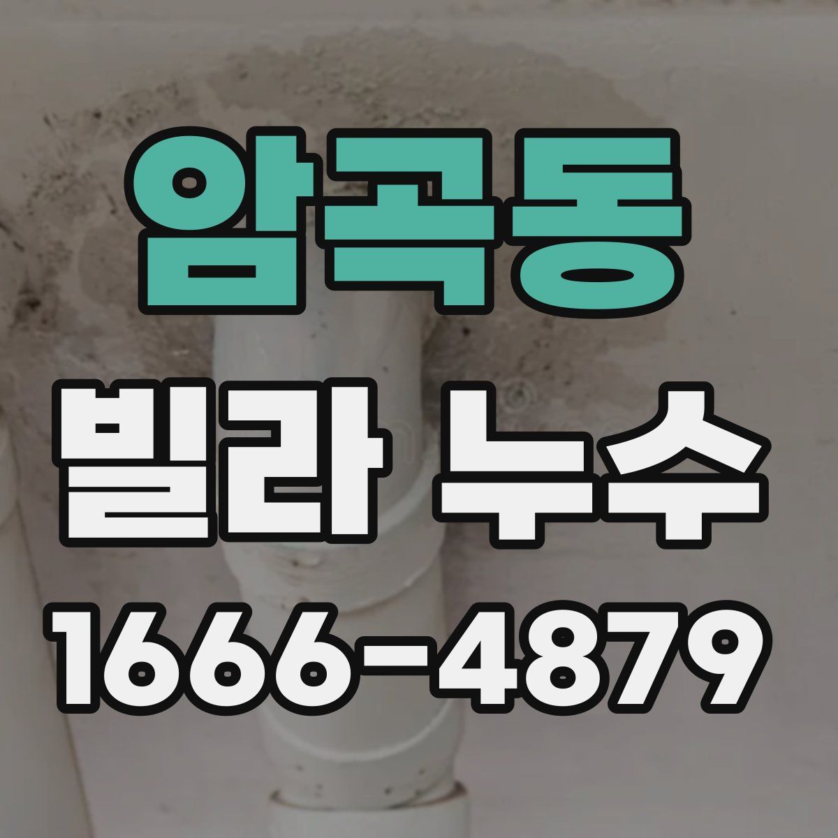 암곡동 빌라 누수