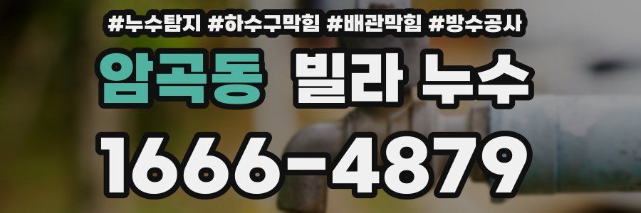 암곡동 빌라 누수