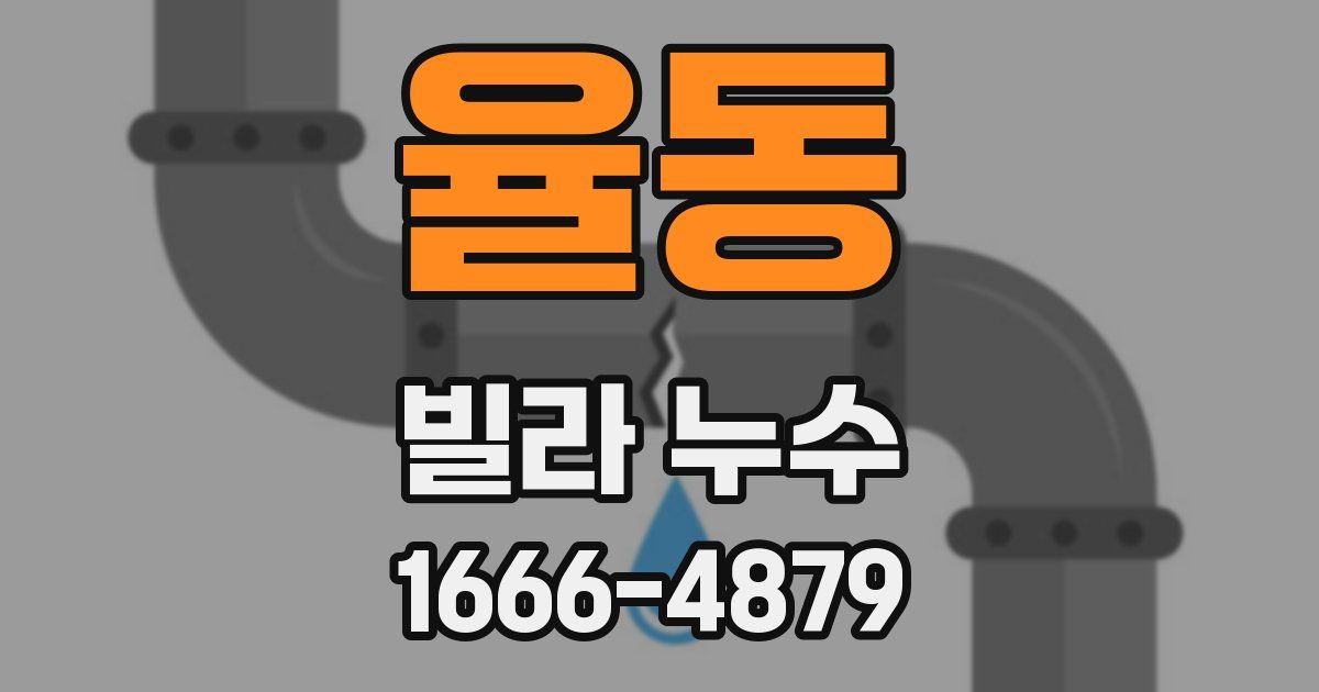 율동 빌라 누수