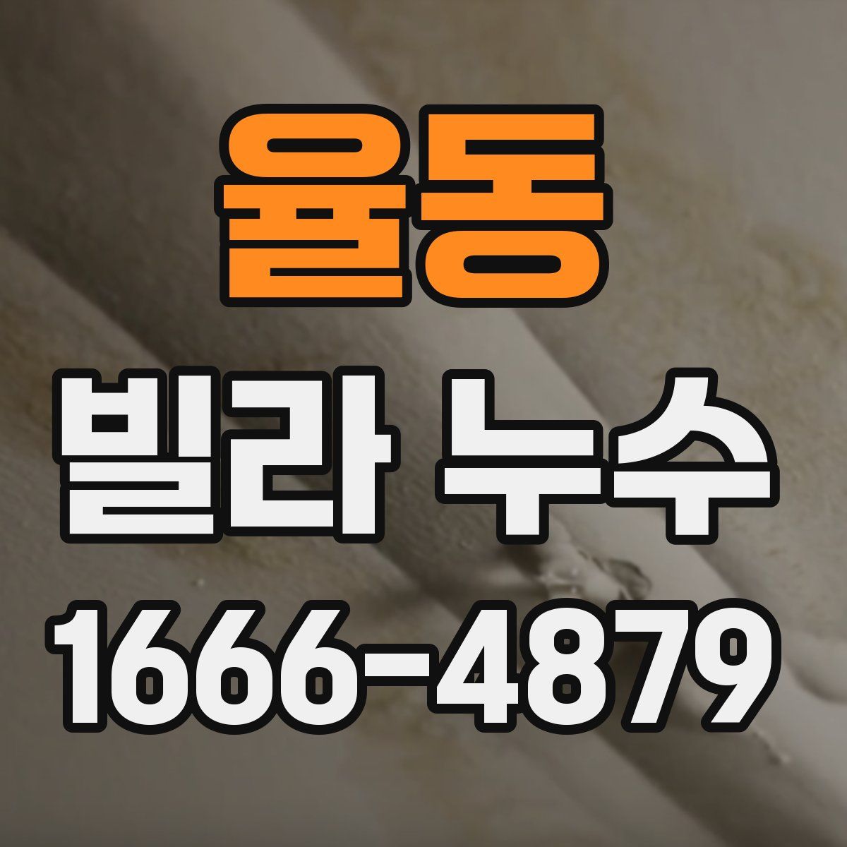 율동 빌라 누수