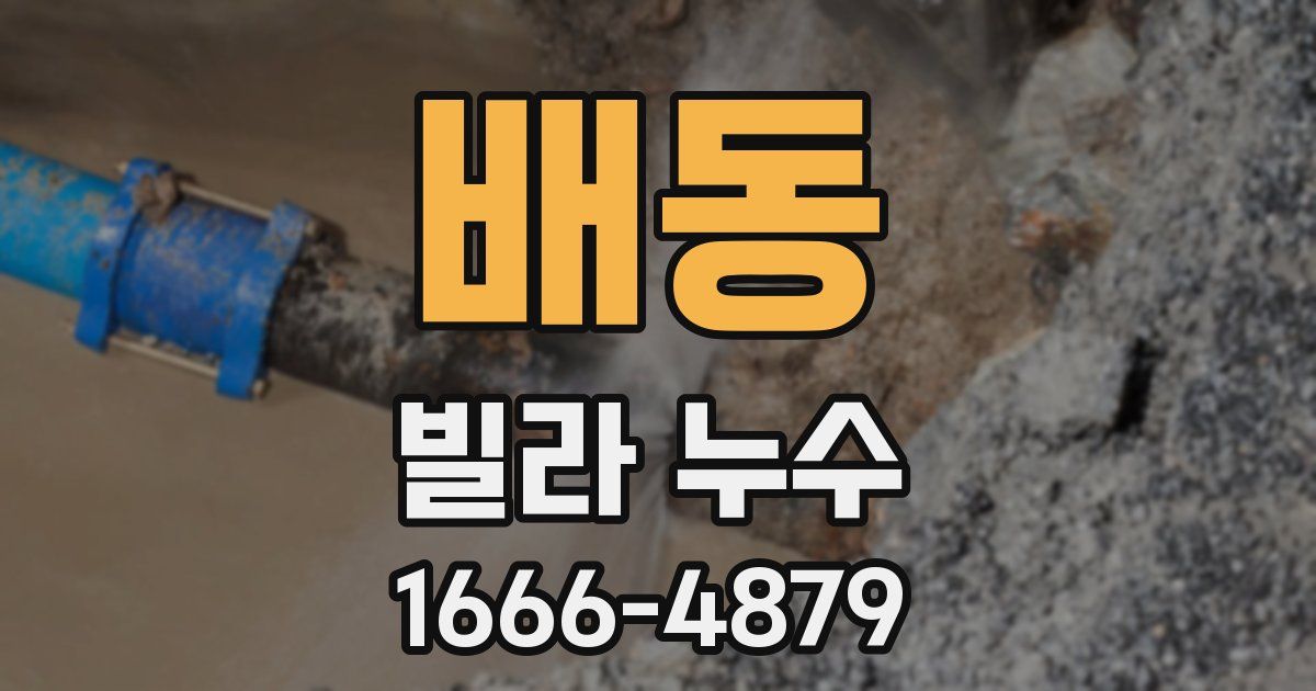 배동 빌라 누수