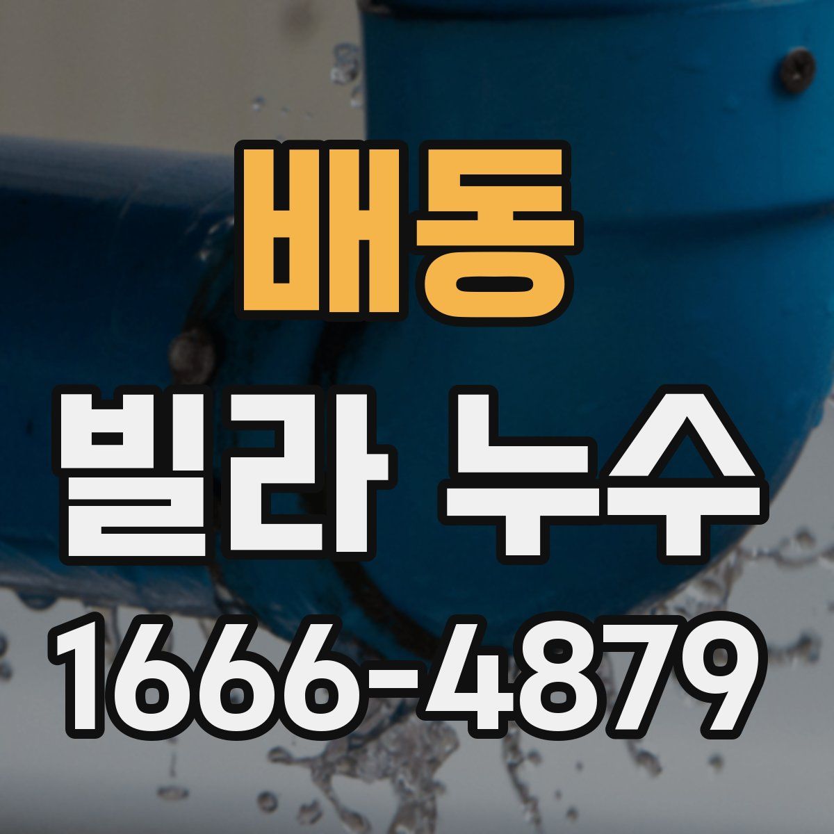 배동 빌라 누수