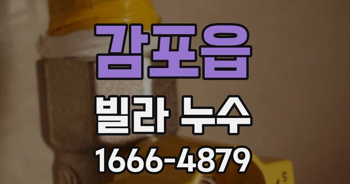 감포읍 빌라 누수