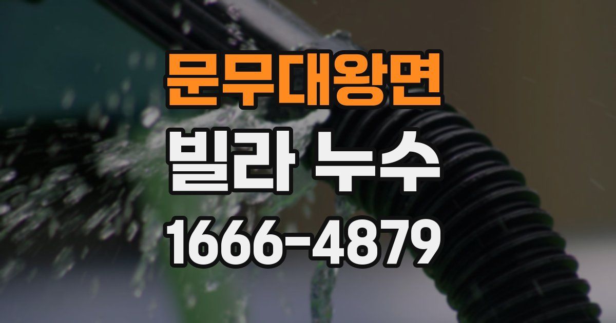 문무대왕면 빌라 누수
